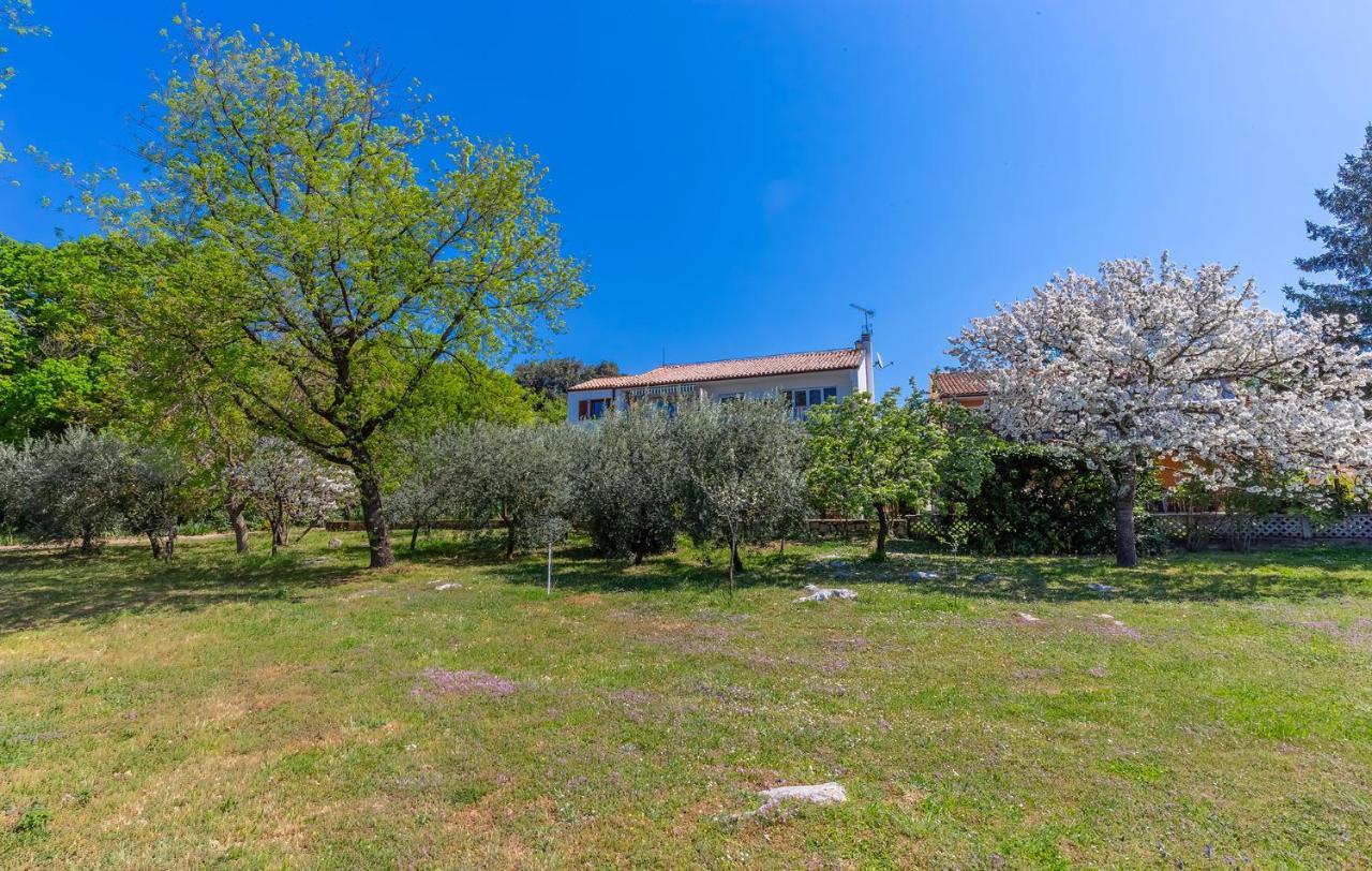 Appartement Ana à Poreč Extérieur photo